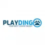 Playdingo Kasino